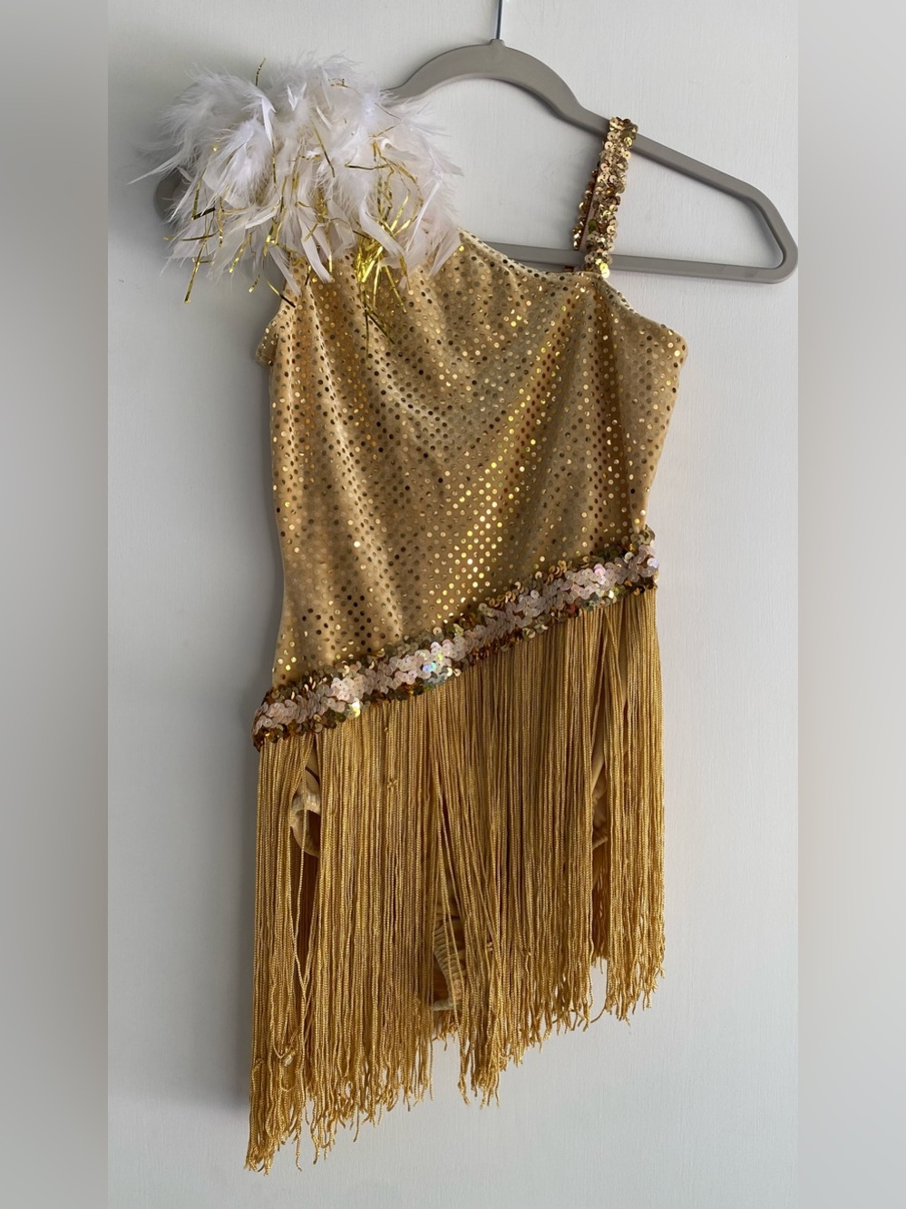 Wish Come True Tin Pan Alley Gold Sequin Fringe Dance Costume